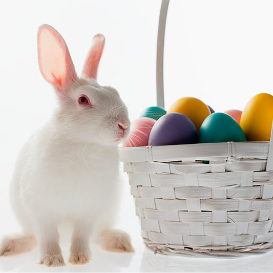 Pascua - 046 / MUG 11oz con impresión envolvente