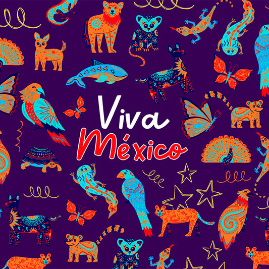 Viva México - 010 / MUG 11oz con impresión envolvente