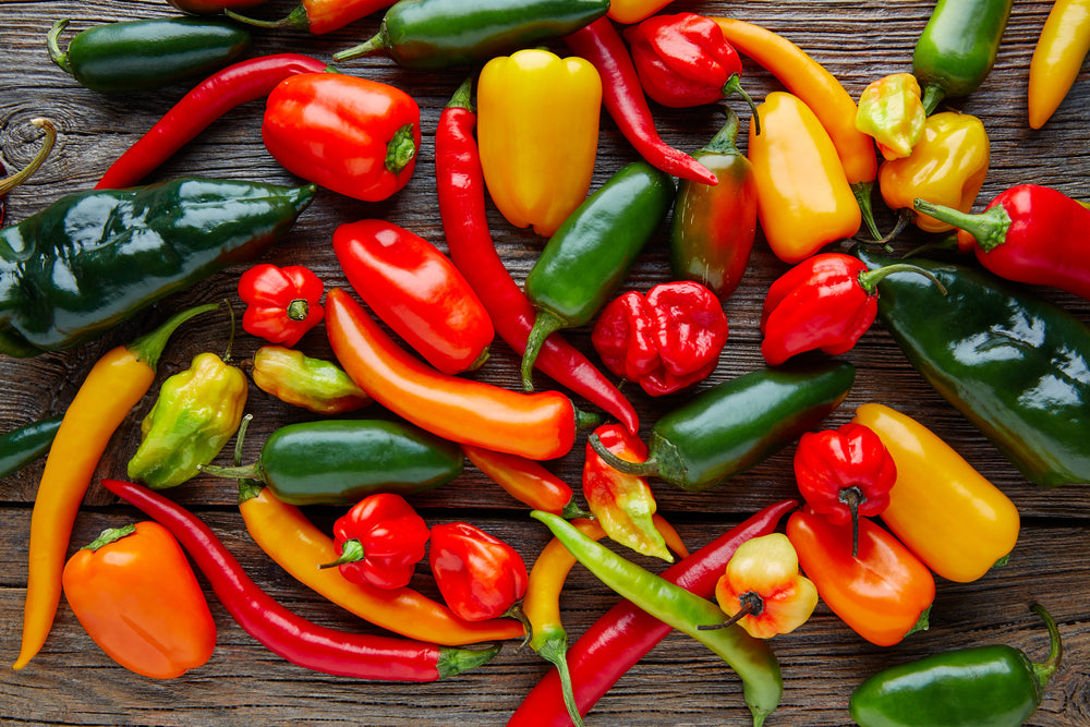 🌶️ CHILES EN CONSERVA