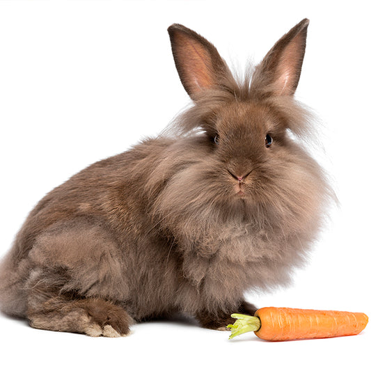 Pascua - 032 / MUG 11oz con impresión envolvente