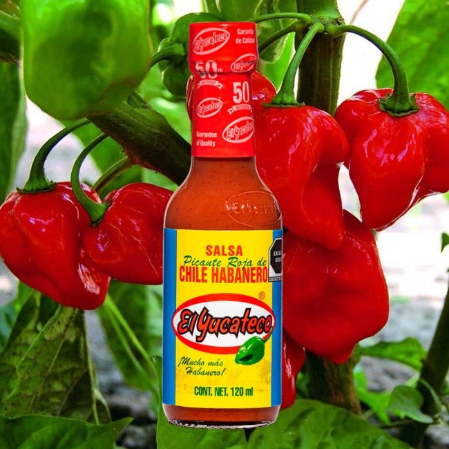 Salsa habanera ROJA "El Yucateco" 120 ml