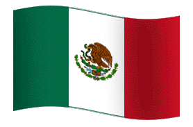 Mexican flag 33x58cm (height x length)